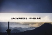 尖头切尔西靴男黑色（切尔西靴方头）