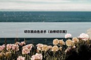 切尔西白色杀手（白师切尔西）