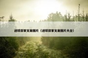 进球鼓掌文案图片（进球鼓掌文案图片大全）