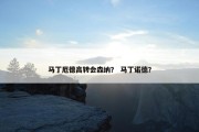 马丁厄德高转会森纳？ 马丁诺德？