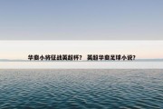 华裔小将征战英超杯？ 英超华裔足球小说？