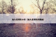 加入足球队小伙（加入足球队的理由）