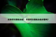 长筒切尔西靴白色？ 长筒切尔西靴白色好看吗？