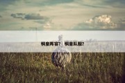 桐皇阵容？ 桐皇队服？