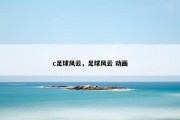 c足球风云，足球风云 动画