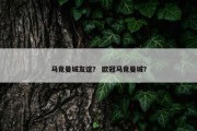 马竞曼城友谊？ 欧冠马竞曼城？