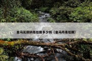 皇马买摩纳哥后腰多少钱（皇马丹麦后腰）