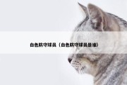 白色防守球员（白色防守球员是谁）