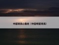 中超球员心酸史（中超明星球员）
