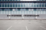 各中小学足球场荒废，小学足球场可以租用吗