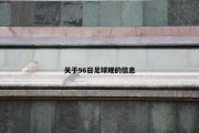 关于96日足球规的信息