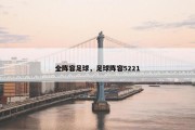 全阵容足球，足球阵容5221