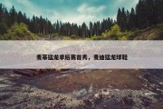 麦蒂猛龙季后赛首秀，麦迪猛龙球鞋