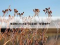低碳fm2017运行无反应？ 低碳文件？