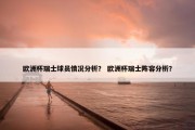 欧洲杯瑞士球员情况分析？ 欧洲杯瑞士阵容分析？
