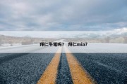 拜仁牛笔吗？ 拜仁mia？
