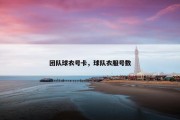 团队球衣号卡，球队衣服号数