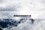 锋线杀手进球的简单介绍