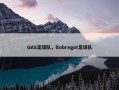 GAS足球队，llobregat足球队