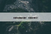 卡塔尔形象大使？ 卡塔尔举行？