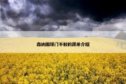 森纳围球门不射的简单介绍