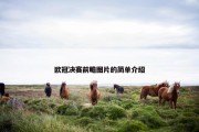 欧冠决赛前瞻图片的简单介绍