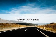 足球高杉（足球高手视频）