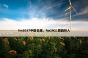 fm2017中国巴西，fm2021巴西妖人