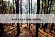 孙兴慜英超互骂（孙兴慜英超月最佳）