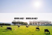 排球队分配？ 排球队员分配？