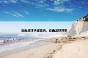 自由足球快速变向，自由足球转职