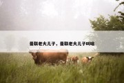 曼联老大儿子，曼联老大儿子叫啥