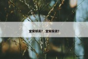 宜安球员？ 宜安投资？