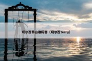 切尔西泰山谁厉害（切尔西terry）