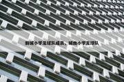 新城小学足球队成员，城南小学足球队