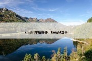 knight季后赛手，knight选手