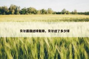 贝尔最强进球集锦，贝尔进了多少球