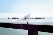 湛江足球队2022？ 湛江足球队和吴川哪个强？