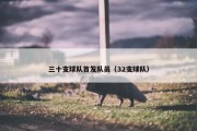 三十支球队首发队员（32支球队）