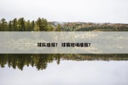 球队播报？ 球赛现场播报？