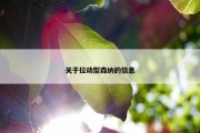 关于拉动型森纳的信息