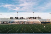 2014男篮小组赛A（2014年男篮5打3）