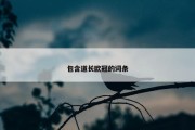 包含道长欧冠的词条