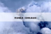杯足球队员（足球队员名单）