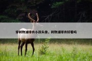 穿利物浦球衣小孩头像，利物浦球衣好看吗