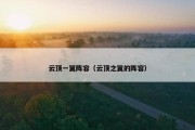 云顶一翼阵容（云顶之翼的阵容）