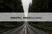 神奇宝贝拜仁，神奇宝贝best wishes