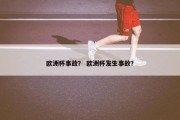 欧洲杯事故？ 欧洲杯发生事故？