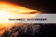 fm2017炒经纪人？ fm2017足球总监推荐？