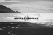巴西球员老婆（巴西球员明星）